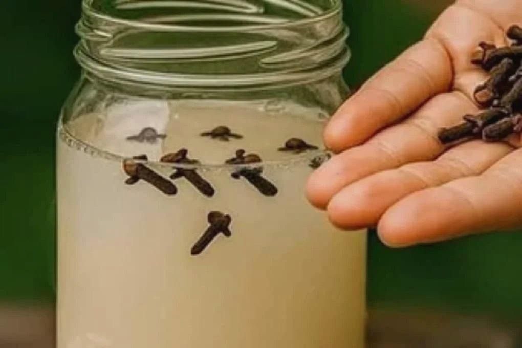 La prueba del agua: una forma sencilla de comprobar si el clavo es fresco